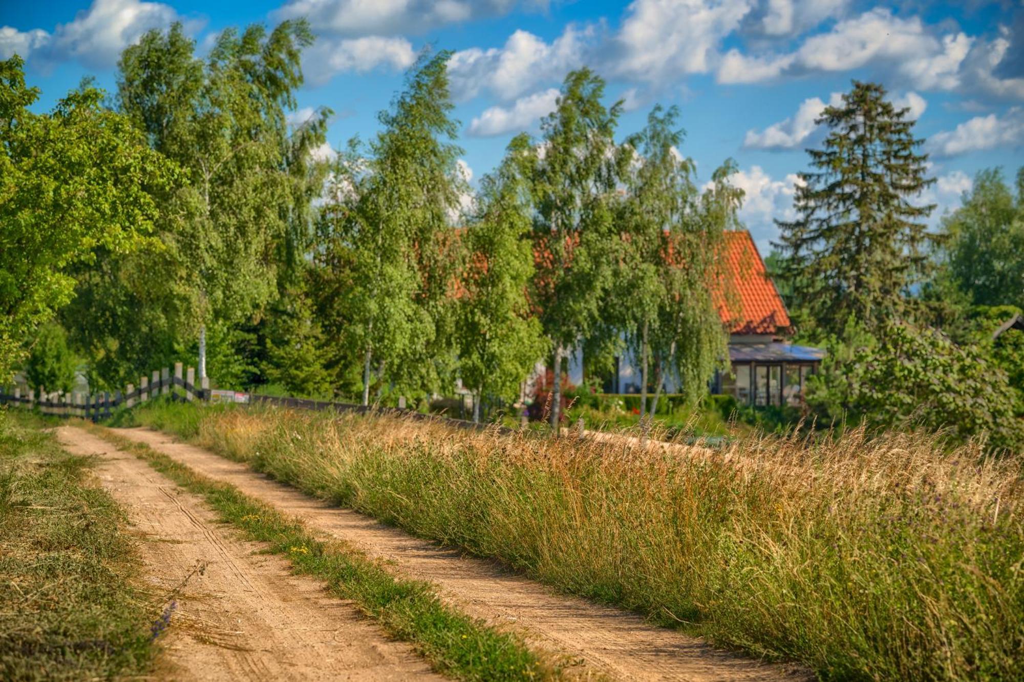 Affittacamere Jora Siedlisko Jora Wielka Esterno foto