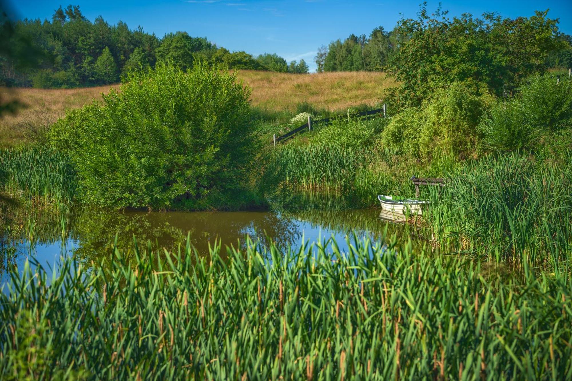 Affittacamere Jora Siedlisko Jora Wielka Esterno foto