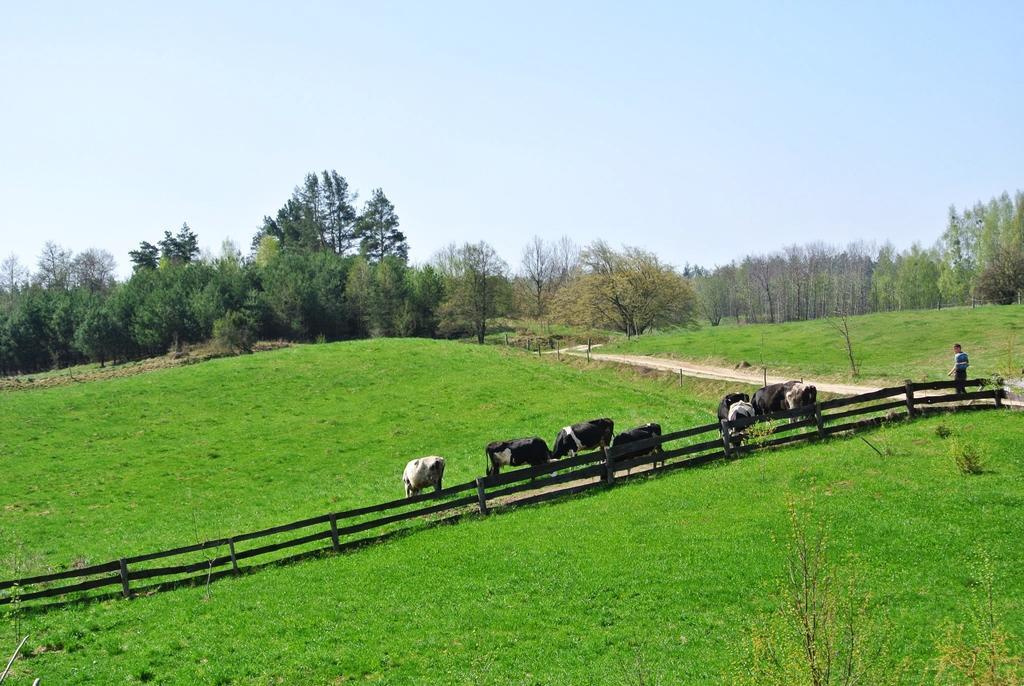 Affittacamere Jora Siedlisko Jora Wielka Esterno foto